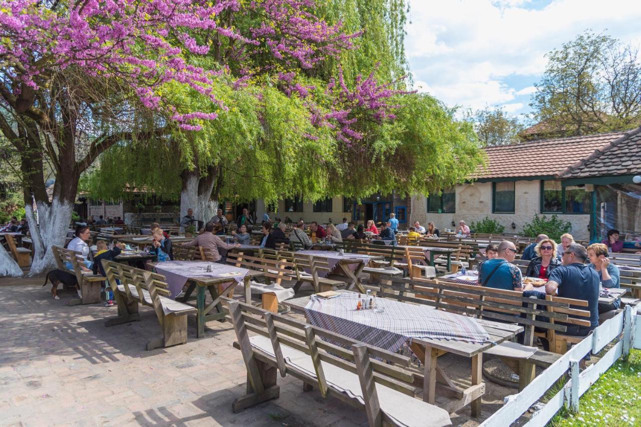 B&B Etno Village Suncana Reka Banja Koviljača 外观 照片